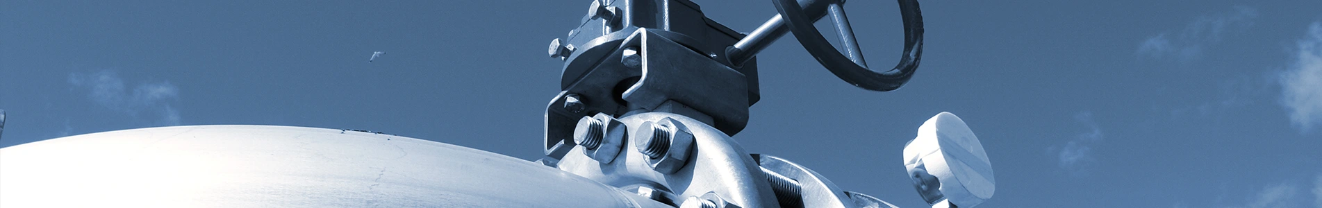 ఉత్పత్తులు